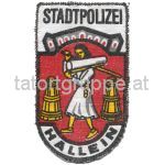 Hallein (1.Auflage)