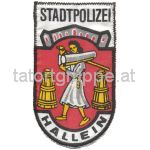 Hallein (2.Auflage)